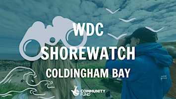 Imagem principal de WDC Shorewatch - Coldingham Bay