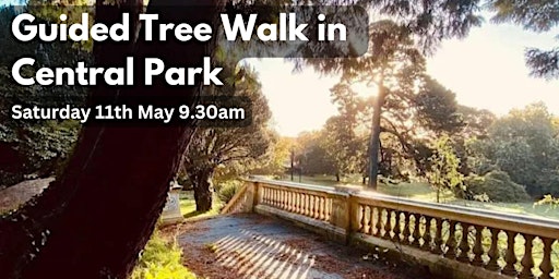 Imagem principal do evento Central Park and its Trees (morning session)