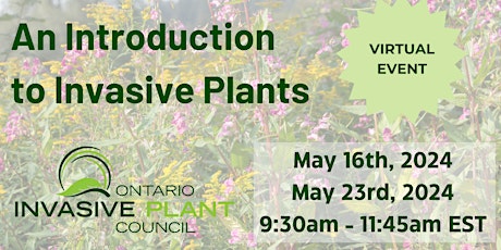 An Introduction to Invasive Plants