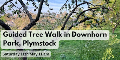 Imagem principal de Guided Tree Walk in Downhorn Park 11 am