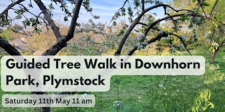 Guided Tree Walk in Downhorn Park 11 am