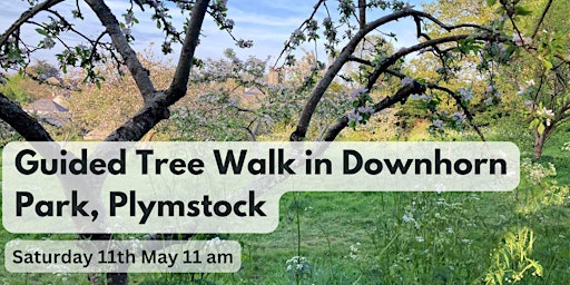 Guided Tree Walk in Downhorn Park 11 am primary image