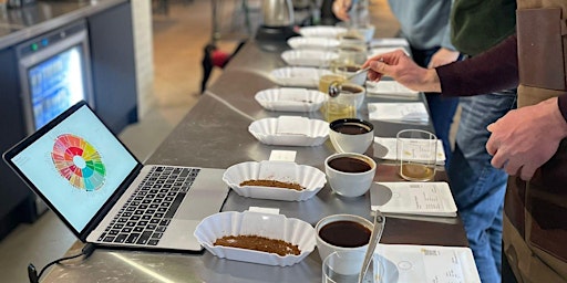 Coffee Cupping Event primary image