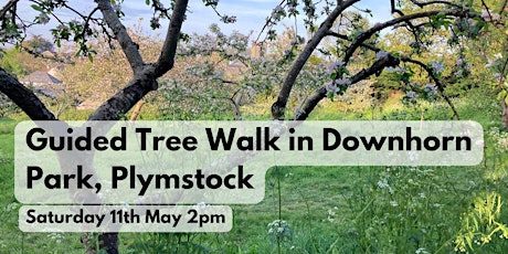 Guided Tree Walk in Downhorn Park 2 pm