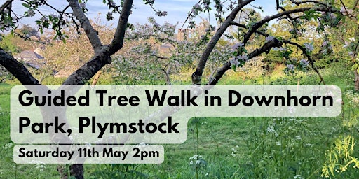 Guided Tree Walk in Downhorn Park 2 pm primary image