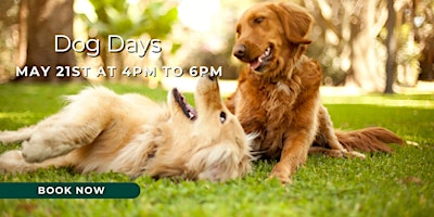 Primaire afbeelding van Dog Days at The Venetian Estate FREE (Ticketed Buffet)