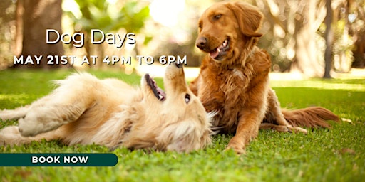Dog Days at The Venetian Estate FREE (Ticketed Buffet) primary image