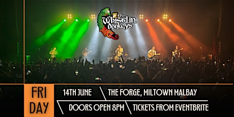 The Whistlin’ Donkeys - The Forge, Miltown Malbay