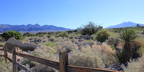 Wild Life, Wild Skies - Nature Walk & Creative Writing