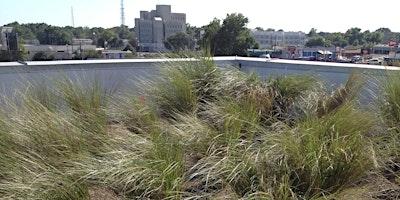 Primaire afbeelding van Pensacola Green Roof: Stormwater Field Tour