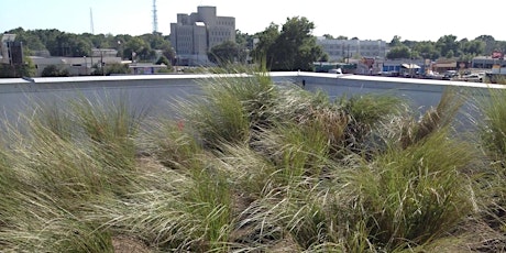 Pensacola Green Roof: Stormwater Field Tour