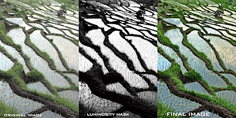 LUMINOSITY MASKS IN PHOTOSHOP AND LIGHTROOM primary image