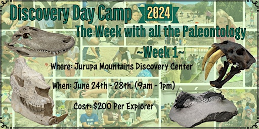 Imagen principal de The Week with all the Paleontology - Week #1 - JMDC's Discovery Day Camp
