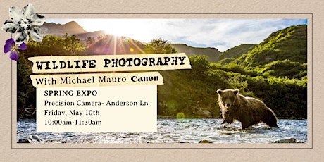 Wildlife Photography with Michael Mauro | FREE