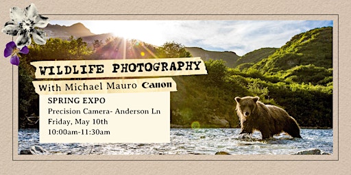 Wildlife Photography with Michael Mauro primary image
