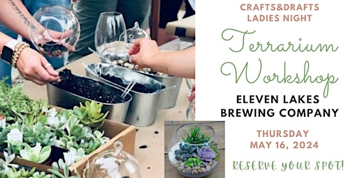 Build Your Own Terrarium Workshop @ Eleven Lakes primary image
