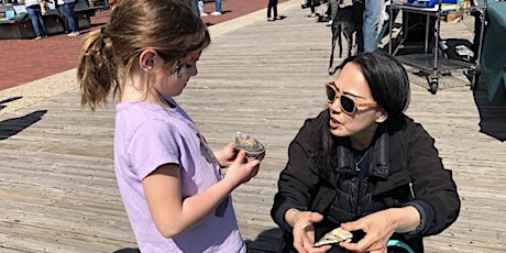 Celebrate Earth at the  Head of Boston Harbor - April 28