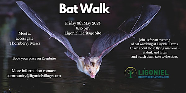 Bat Walk in Ligoniel Heritage Site