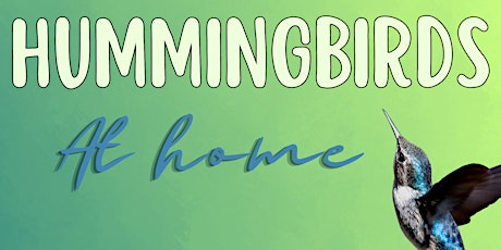 Hummingbirds at Home