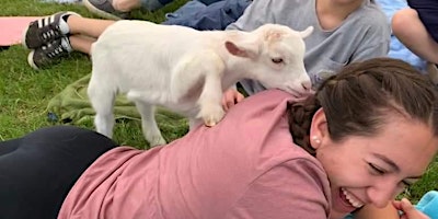 Imagem principal do evento Mother's Day Goat Yoga