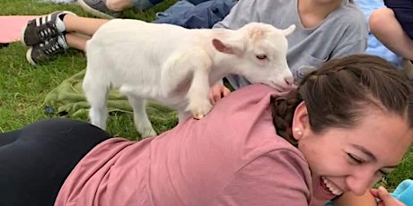 Mother's Day Goat Yoga primary image
