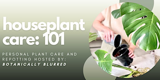 Imagem principal do evento Botanically Blurred's Houseplant Care: 101
