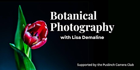 Botanical Photography With Award Winning Photographer Lisa Demaline