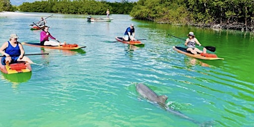 Immagine principale di Dolphin and Manatee Adventure Tour of Fort Myers - JMC Getaways 
