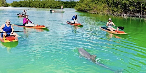 Dolphin and Manatee Adventure Tour of Fort Myers - JMC Getaways