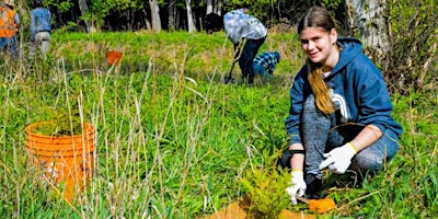 Hauptbild für Volunteer to Plant Trees with NVCA in Adjala-Tosorontio on Sheldon Creek