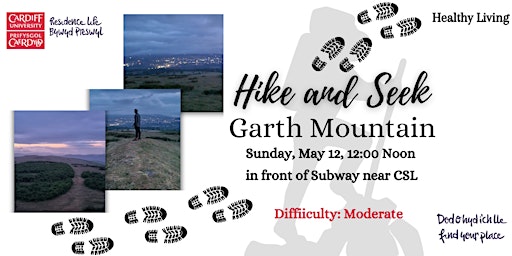 Primaire afbeelding van Hike and Seek : Garth Mountain| Cerdded a cheisio : Mynydd y Garth