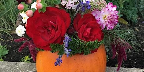 Pumpkin Floral Arrangement: 26th October, Lion and Lamb Cafe: Farnham primary image