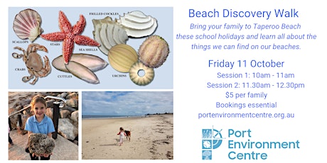 School holiday guided beach discovery walk primary image