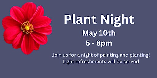 Plant Night  primärbild
