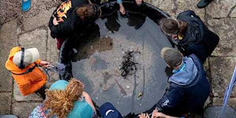 All Day Mobile Rock Pool (booking not required)