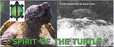 SPIRIT OF THE TURTLE:  TURTLE FUNDRAISER & OPEN HOUSE