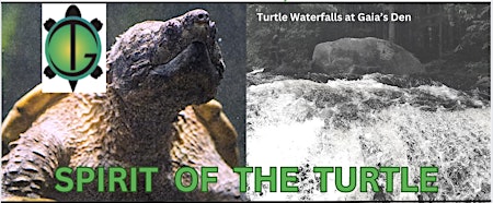 Imagem principal do evento SPIRIT OF THE TURTLE:  TURTLE FUNDRAISER & OPEN HOUSE