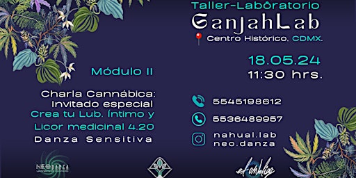 Hauptbild für Taller-Laboratorio de Alquimia Cannábica y GanjahDanza