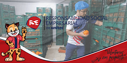 Hauptbild für Voluntariado: Kilómetro de Nutrición con BAH | Mayo-Junio 2024