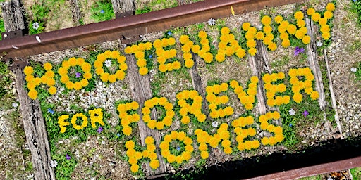 Imagem principal do evento Hootenanny for Forever Homes