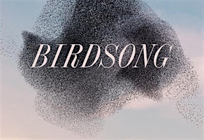 Hauptbild für Birdsong