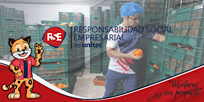 Hauptbild für Voluntariado: Rescatando Kilos de Amor en BAH | Mayo-Junio 2024