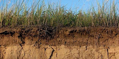 Living Soils Workshop/ Taller de "Tierras Vivas" primary image