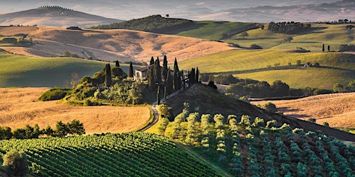 Tuscan Treasures -Wine Tasting  primärbild