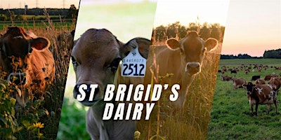 Imagem principal do evento The St Brigid's Jersey Spring Frolic, 2024