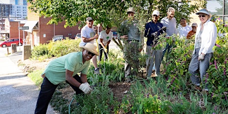 Extension Master Gardener Info Session (9/10 Online)