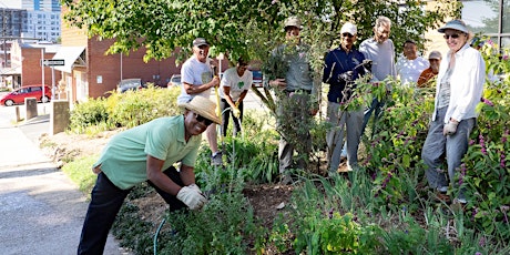 Extension Master Gardener Info Session (9/18 In Person)
