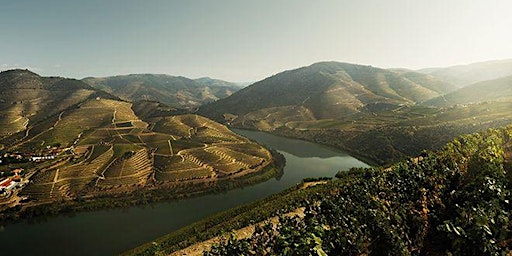 Explore the Wines of Portugal  primärbild