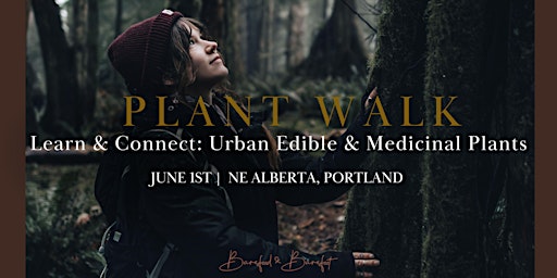 Imagem principal do evento Plant Walk (Urban)