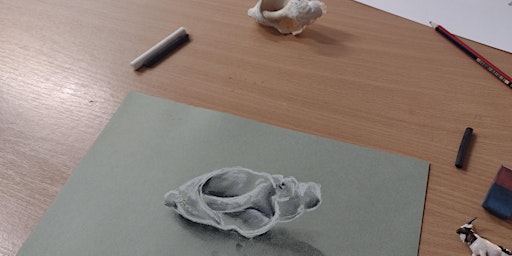 Primaire afbeelding van Mindful Still Life Drawing Class